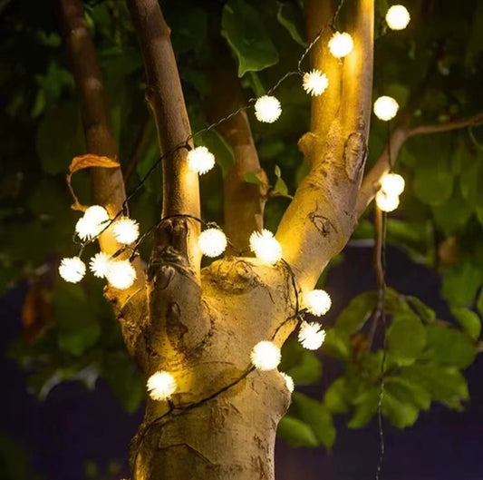 Guirnaldas Solares Diente de León + Envío Gratis